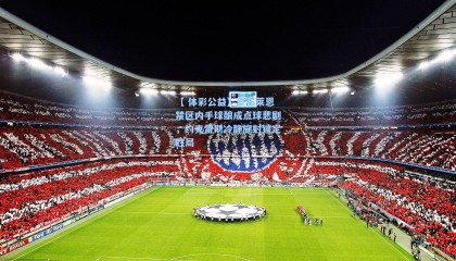 【 体彩公益】奥布莱恩禁区内手球酿成点球悲剧，约克雷斯冷静施射锁定胜局