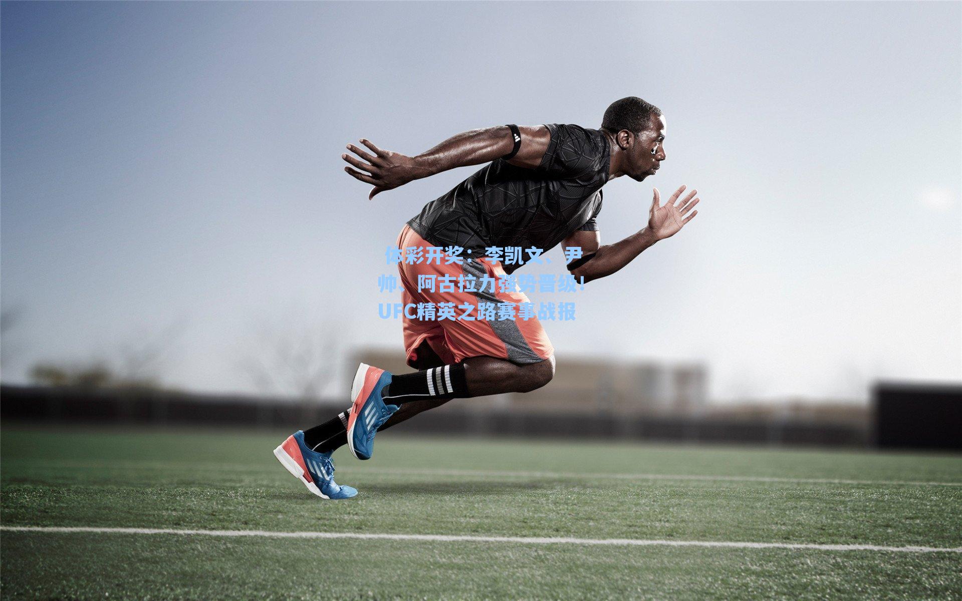 李凯文、尹帅、阿古拉力强势晋级!UFC精英之路赛事战报