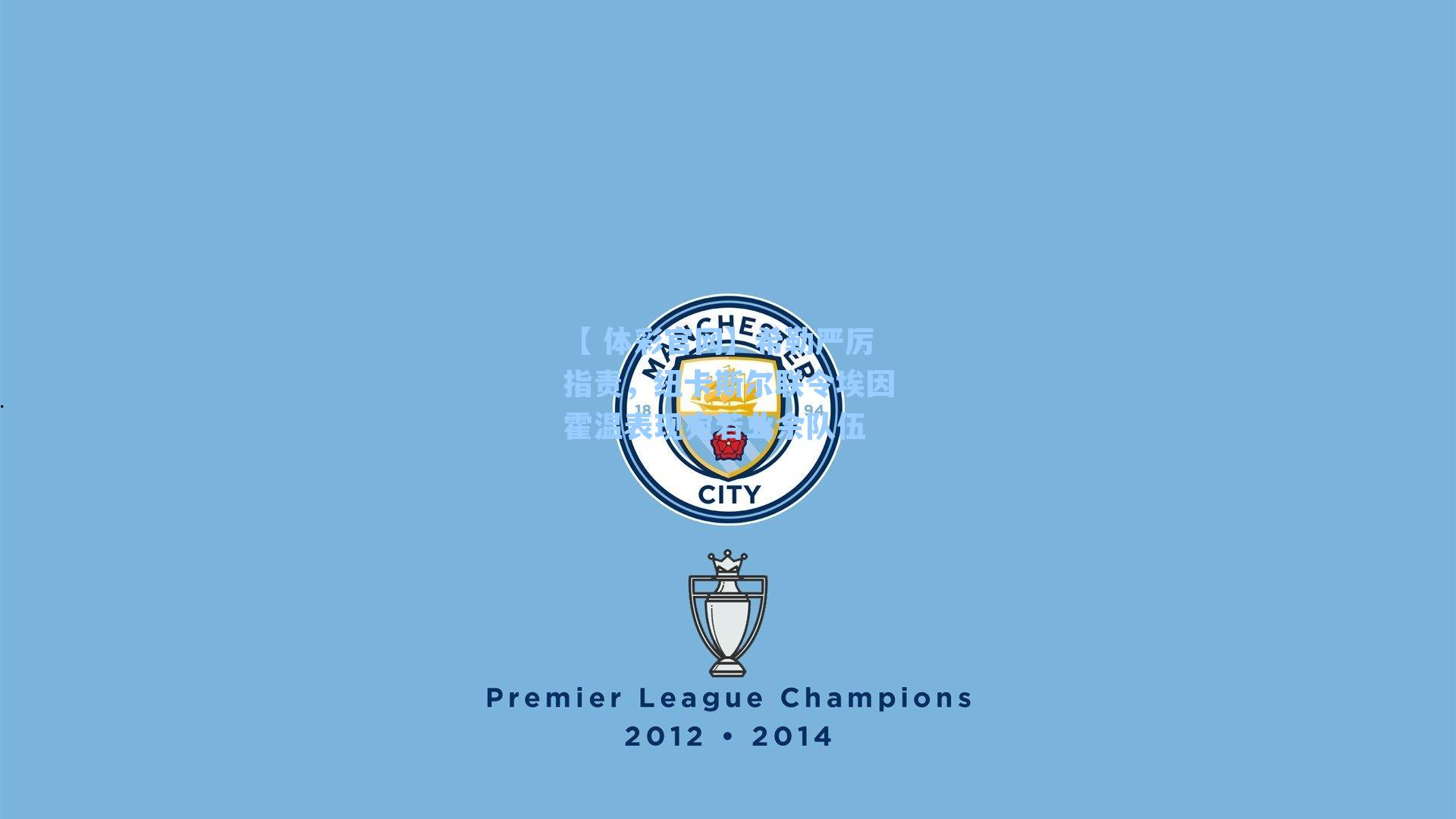 希勒严厉指责，纽卡斯尔联令埃因霍温表现宛若业余队伍