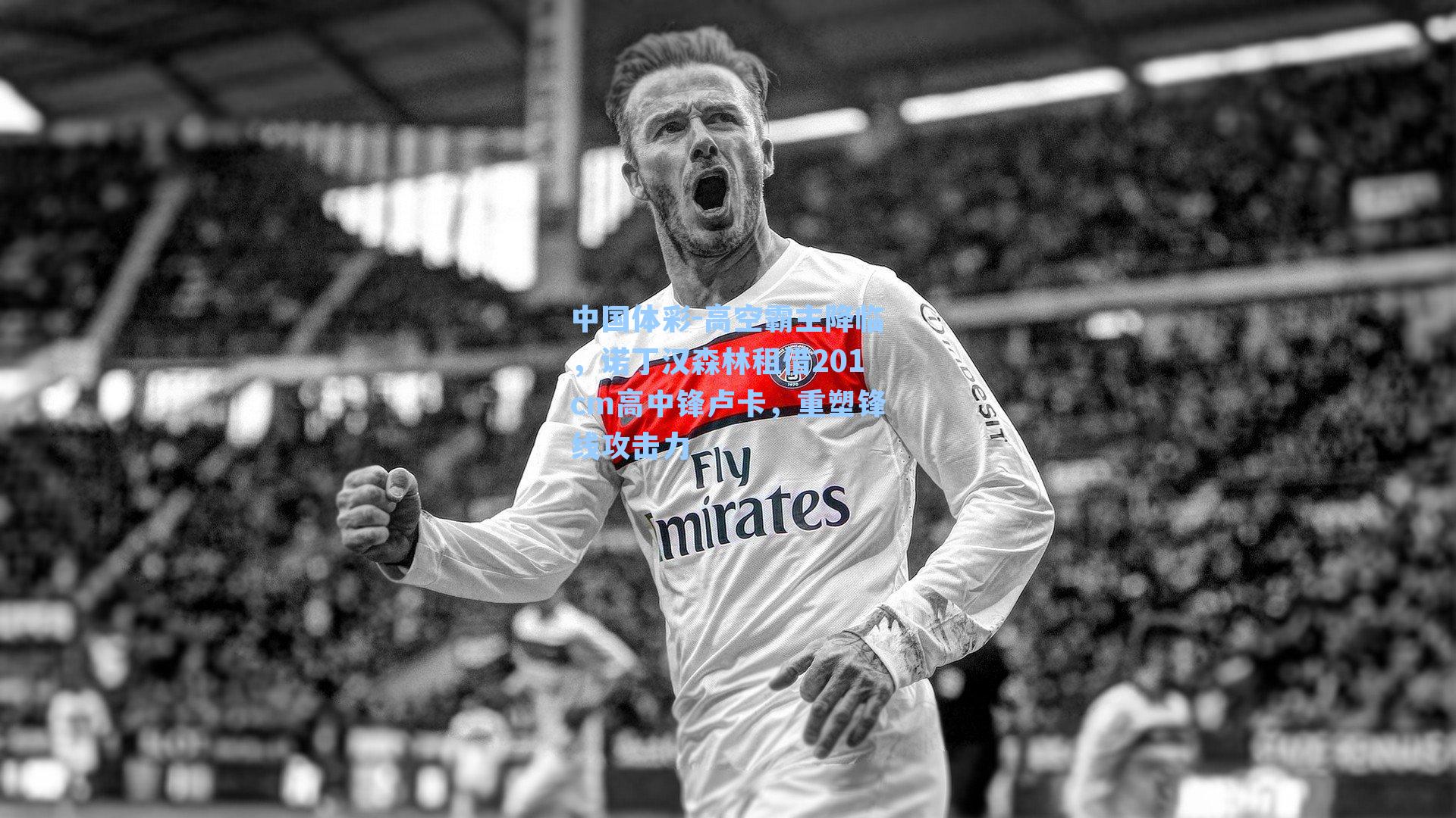 高空霸主降临,诺丁汉森林租借201cm高中锋卢卡,重塑锋线攻击力