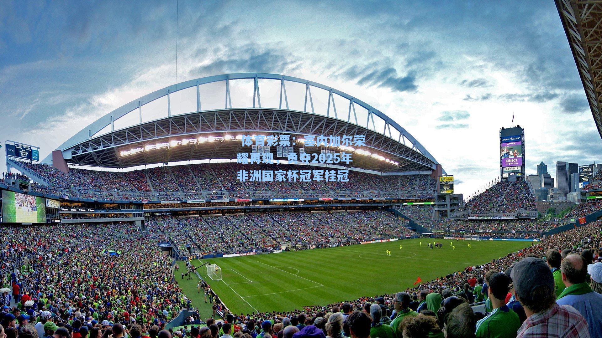 塞内加尔荣耀再现,勇夺2025年非洲国家杯冠军桂冠